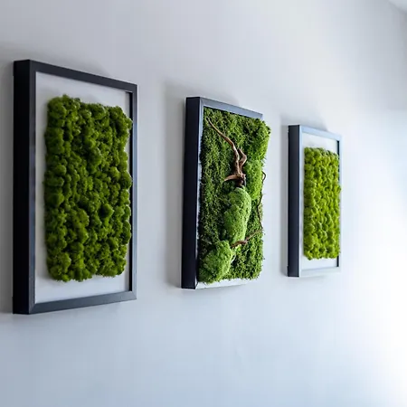 Prusa 11 Apartamento *